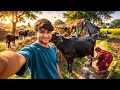 Life in a rural Indian village 😍 || Village Life style blog || Navneet Family Vlogs #vlog