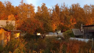 Октябрьские выходные на даче. Привезли дрова.