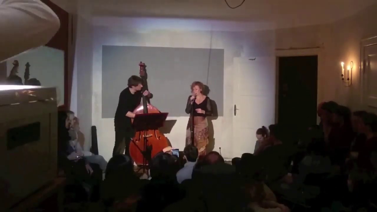 DOS plus One - beautiful Live Visuals during a Living Room Concert