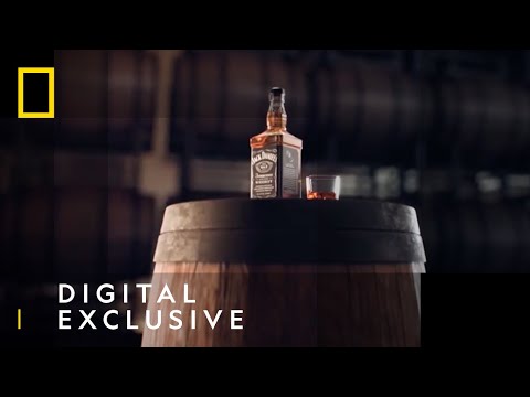 Video: Vyrába sa jack daniels?