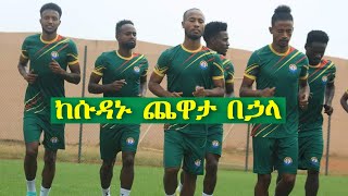 Ethiopian National Football Team Cameroon African Cup of Nations 2022 Sport News Ethiopia #ኢትዮጵያ