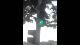 Traffic Light(LG E435) Cronometrados Halogénos - Queluz, Lisboa, Portugal 30 de outubro 2016