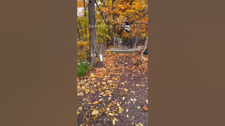 A perfect fall day🍁 #autumn #october