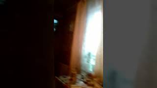 Книга Джунглей 2 На Канале Disney