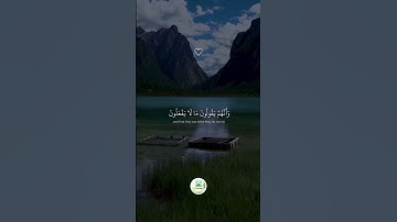سورة الشعراء  " الآية 224 -- 227 "  🕋
