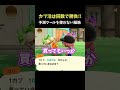 【あつ森】予測ツールを使わない脳筋プレイ #shorts