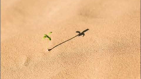 10 سورة يونس | القارئ عبدالرحمن الماجد