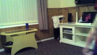 Capture 20080903 2