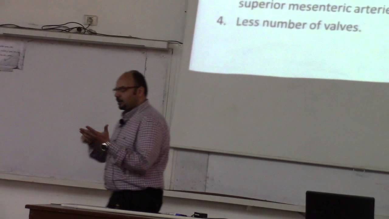 1 - Abdomen 21/2/2016 Dr.Baha [male external  genital organs]