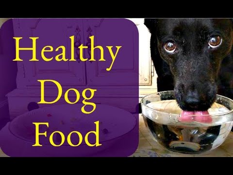 healthy-dog-food-easy-recipe