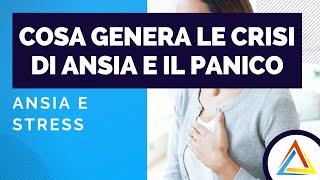 Attacchi Di Ansia E Attacchi Di Panico Le Cause Scatenanti Le Crisi Di Panico