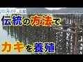 「幻のカキ養殖」とは！？ 日本財団 海と日本PROJECT in 広島 2019 #33