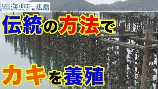 「幻のカキ養殖」とは！？ 日本財団 海と日本PROJECT in 広島 2019 #33