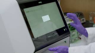 Trays, Applications & Camera Screen Overview | ChemiDoc™ Pro Tutorial