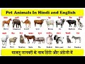 pet animals in english and hindi with pdf  | domestic animals | पालतू जानवरों के नाम |