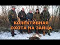 ОХОТА НА ЗАЙЦА.  ПОМОГЛИ РЫБАКУ...!