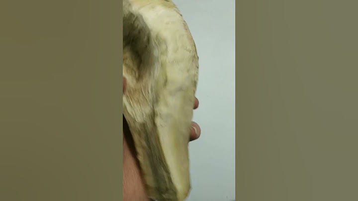 #shorts #shortvideo #video это называется СЕРДЦЕ КРОВЬЮ ОБЛИВАЕТСЯ 😰