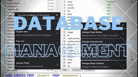 Database Management | QBCore / QBOX | Fivem