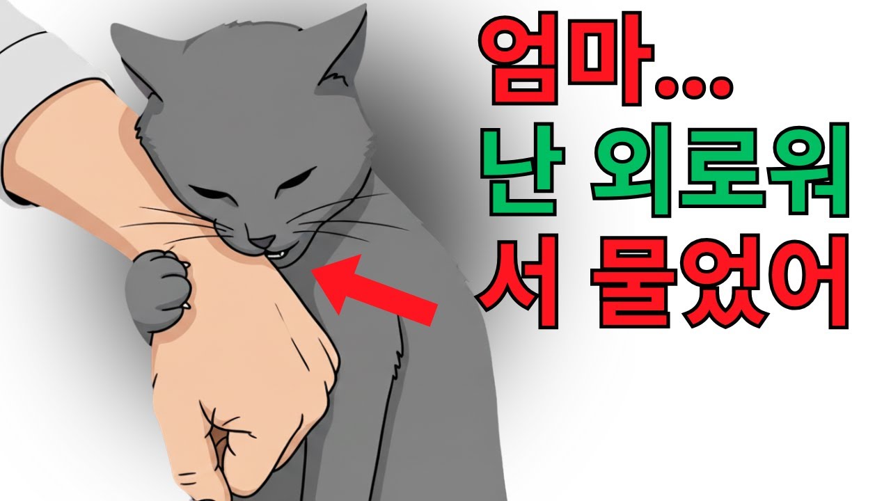 고양이가 외로운 20가지 신호 –– 하지만 당신은 무시하고 있어요