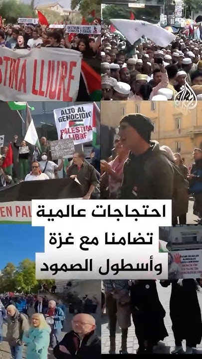        
 - نشر قبل 8 دقيقة