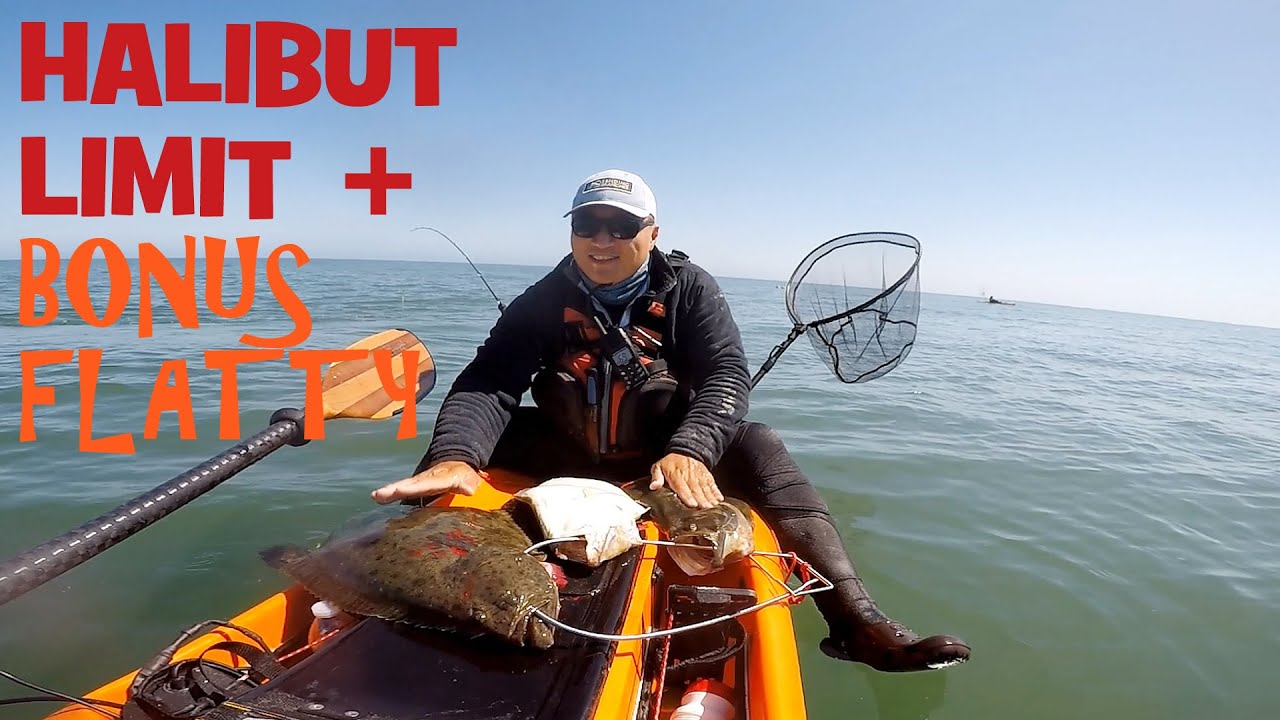Halibut Limit and a Bonus Flat Fish on My Stealth Fusion 480 YouTube