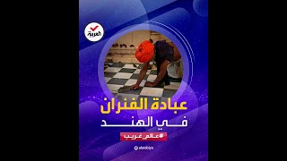 عالم غريب | بادة الفئران في معبد 