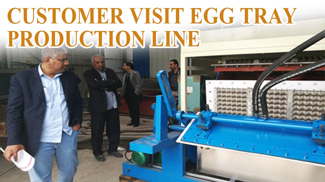 High-Speed Egg Tray Manufacturing Line | Waste Paper Recycling Solution 
