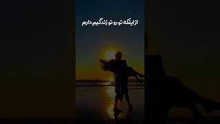 کلیپ عاشقانه-آهنگ غمگین-موزیک ایرانی-دونفره-ترانه شاد-دوست دارم
