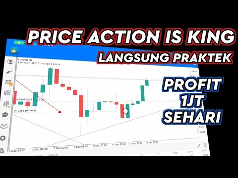 Profit 1 Juta Sehari, Price Action Is King, Teknik Paling Sempurna 😁🤑