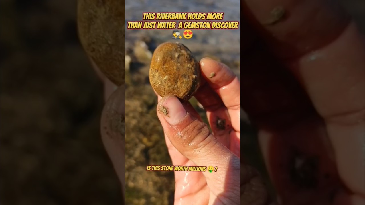 This riverbank holds More than just a Gemston Discover🕵😍 Worth millions🤑? 