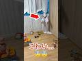 Too Scary ЁЯШ ЁЯТж Horrorvideo Scary Surprise Ghost Horror Too Scary ЁЯШ ЁЯТж Horrorvideo Scary Surprise Ghost Horror