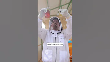 الكشف عن العسل المغشوش والعسل الاصلي عسل 