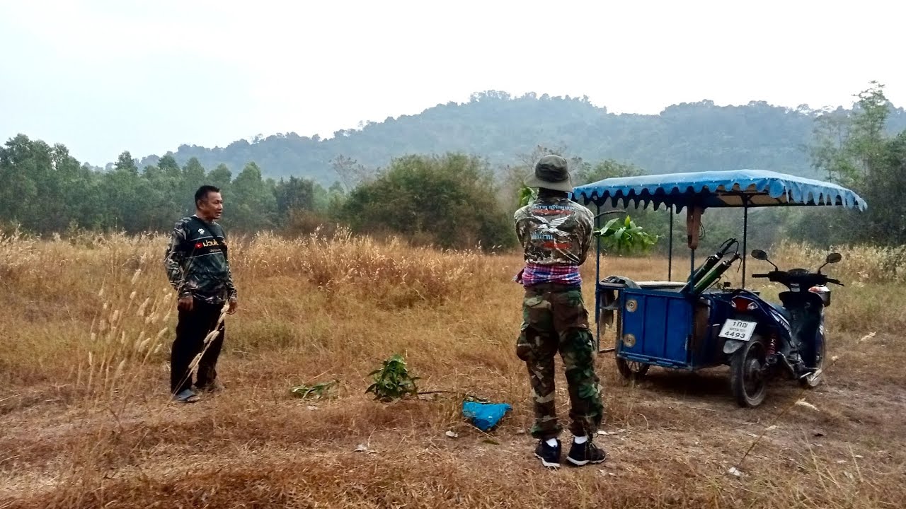 ต่อนกเขาใหญ่ หมายภูเขานครนายก 