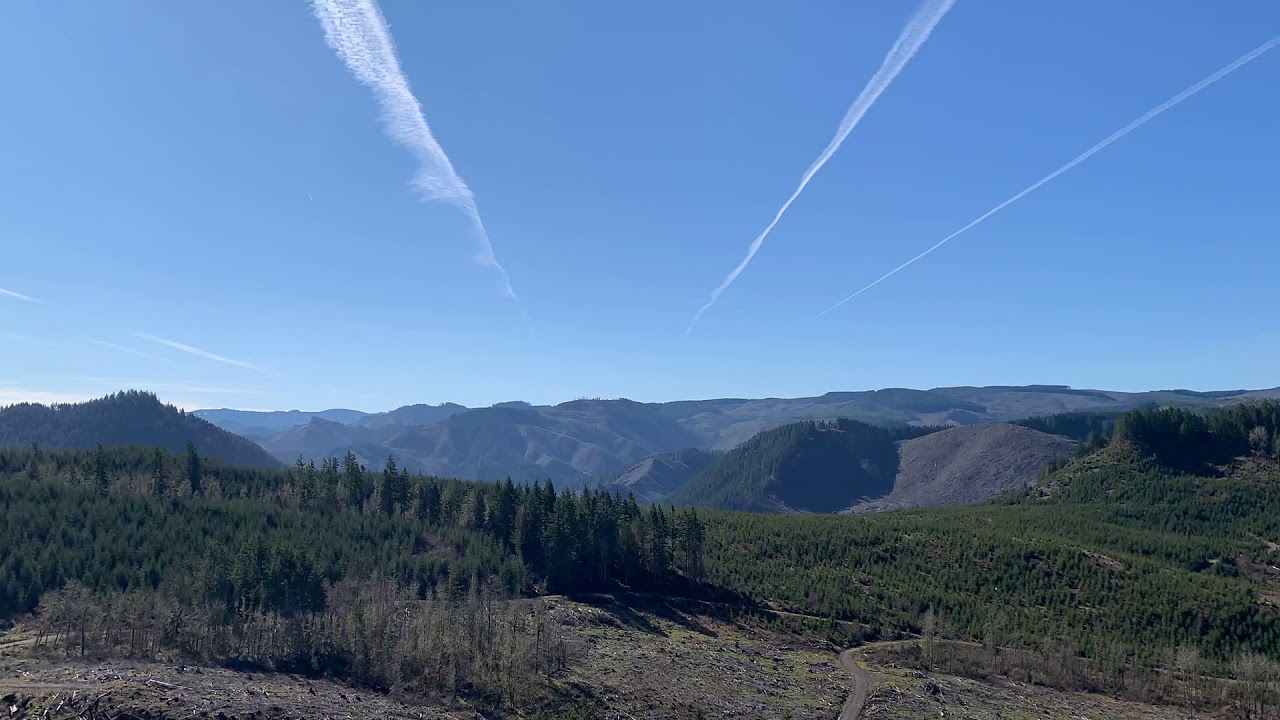 The Hillside......03052020.... YouTube