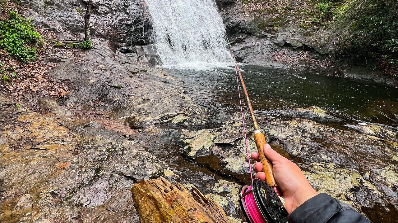 Cohutta Mountains North Blue lining. Fly fishing. Waterfalls