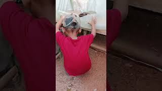 Download Lagu lihat telor entok #entoklokal #ternakentok #shortvideo #hiburan #lucu #humor MP3