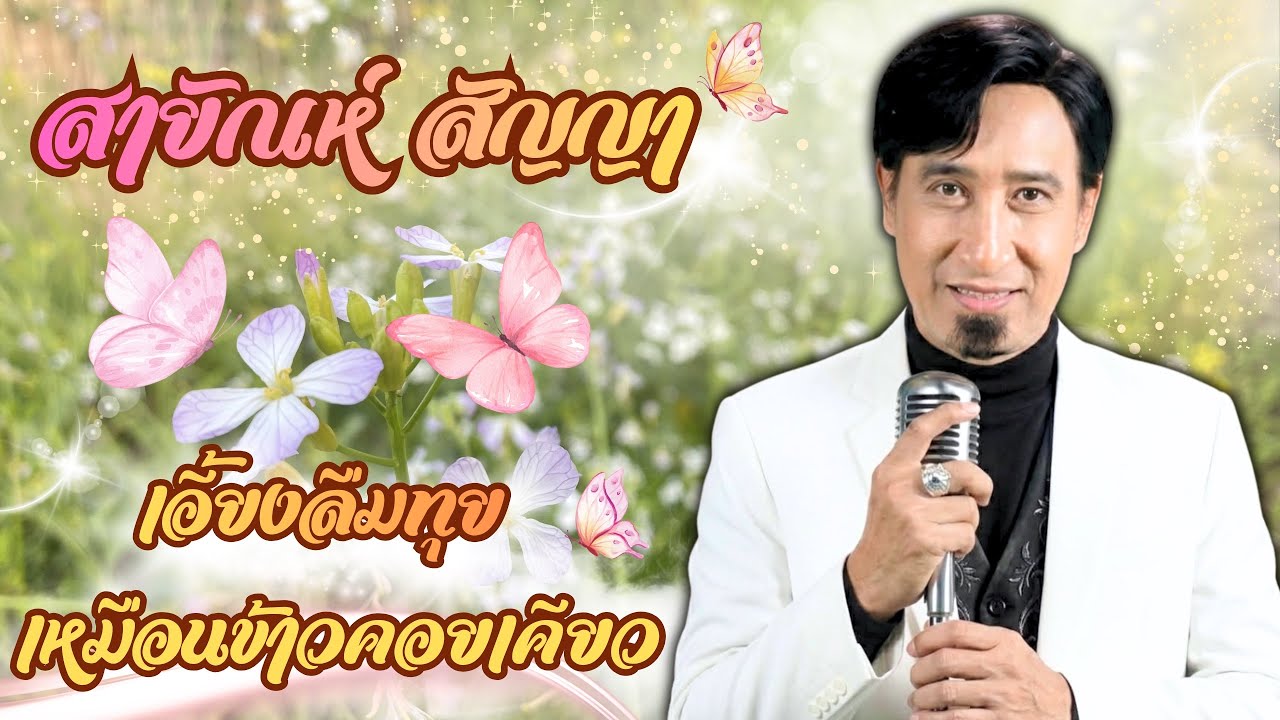 เพลงดังฟังสบาย 🌼ศิลปิน สายัณห์ สัญญา🌼 เอี้ยงลืมทุย เหมือนข้าวคอยเคียว @WAYPANATDA 