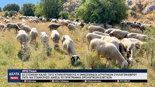 Έβρος: Σύσκεψη κτηνοτρόφων στην Ορεστιάδα για τους ορολογικούς ελέγχους και τα μέτρα για τα κοπάδια