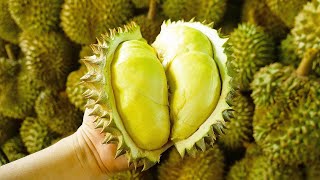 Crazy Speed!! Amazing Durian Cutting Skills Master!! - Thai Street Food