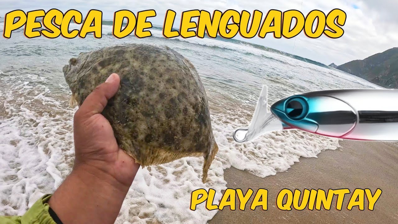 Pesca de Lenguados en Quintay