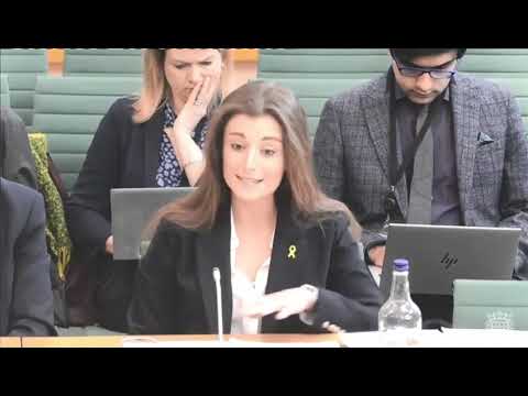 Natasha Hausdorff: Plausible case? What she said, what he said, and what the judge said