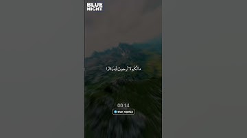 #تلاوات #اكسبلور #قران_كريم #دويتو #قرآن #راحة_نفسية #قران #تيك_توك #explore #حالات_واتس