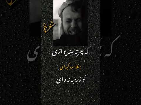 ادبی لیکنی