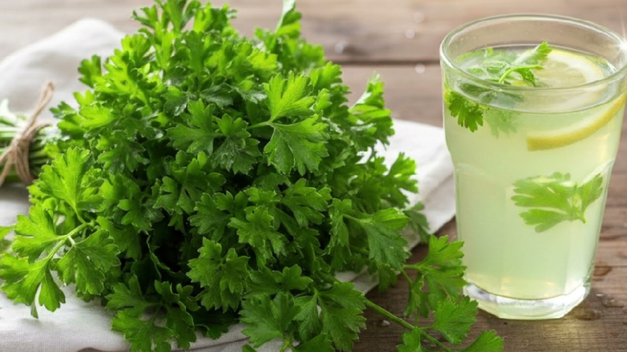 Maydanoz faydaları maydanoz suyunun faydaları maydanozun sağlığa faydaları maydanozun kullanım alanı