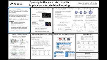 NAISys 2020: Sparsity in the Neocortex, and its Implications for Machine Learning Poster Walkthrough