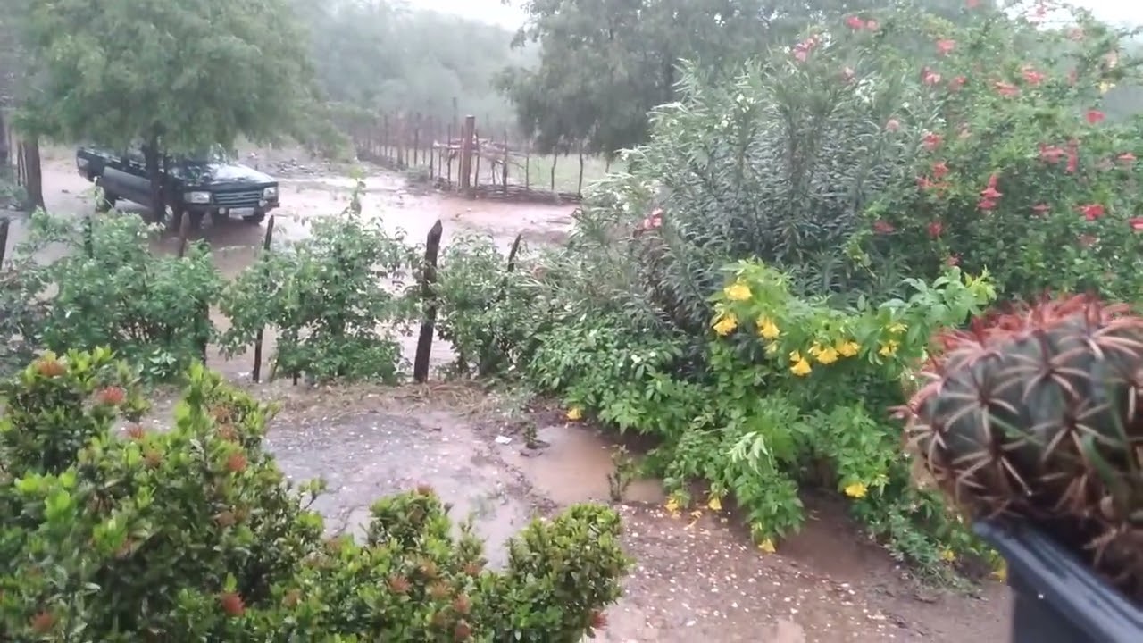 26 de fevereiro de 2026