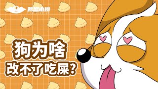 【小魔】狗为啥改不了吃屎？