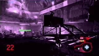 Black Ops - Friendly Fire in Zombies