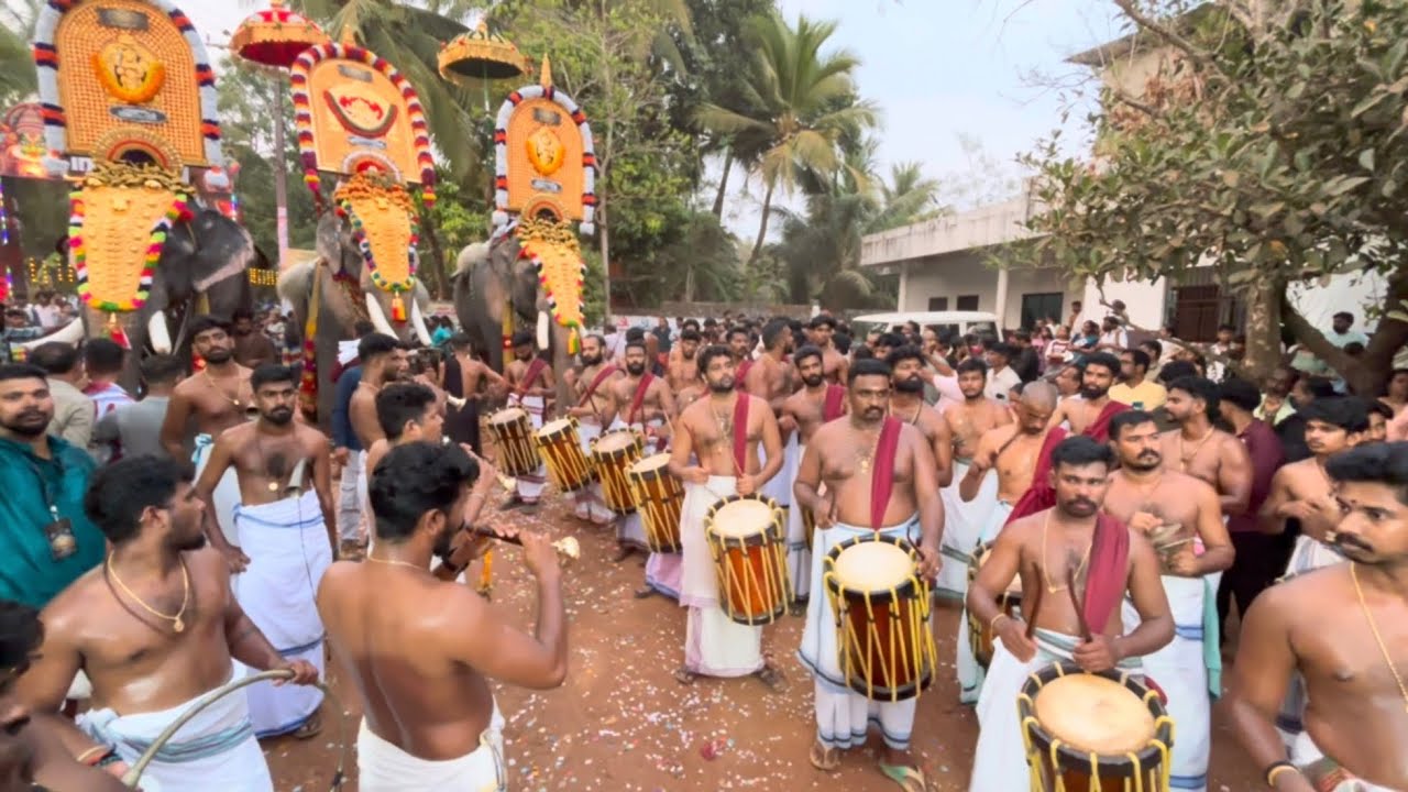 പാറമേക്കാവ് അഭിഷേകിന്റെ എളവാതിൽക്കൽ പൂരത്തിലെ മേളം കണ്ടോ #pooram #pancharimelam #melam #palakkad 