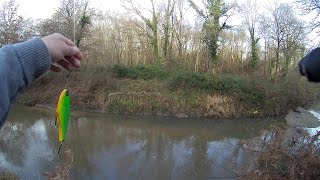 Pêche en Big-bait Jerkbait Sologne dans la Sauldre et le Cosson hiver 2015 HD